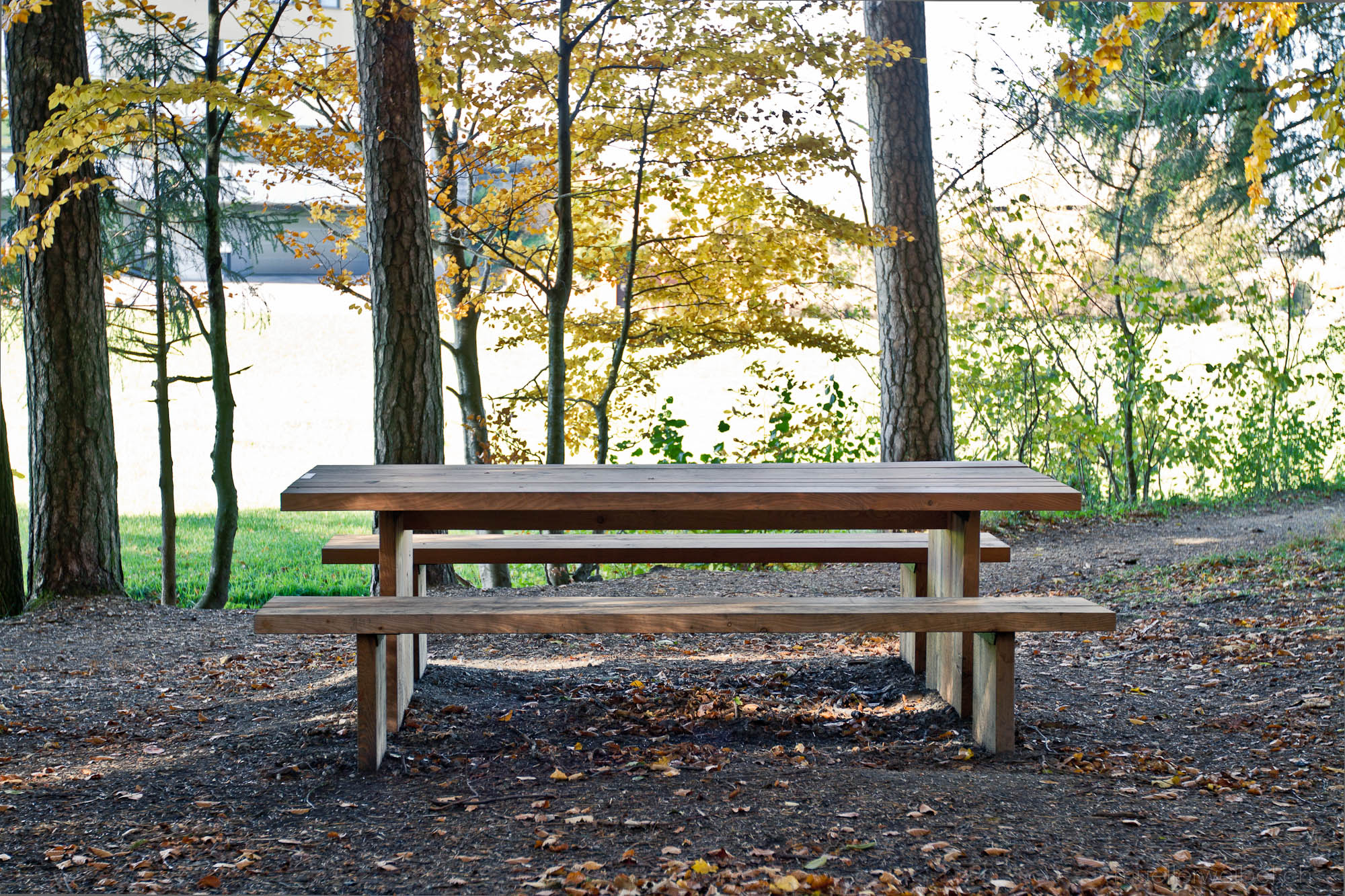 Tisch und Bank im Wald