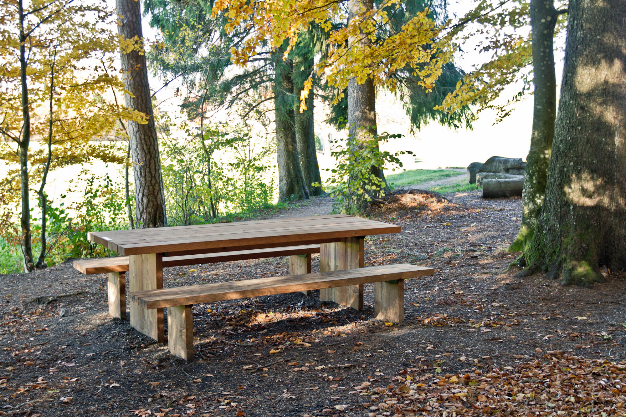 Tisch und Bank im Wald